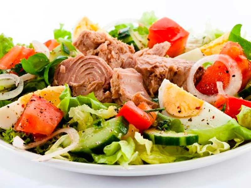 Plato 2